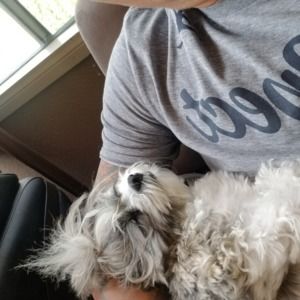 Meet your Posher, Chi